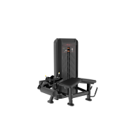 Hot Selling Factory Direct Commercial Fitness Equipment Dual-Function Biceps Curl/Triceps Extension Steel Pin-Loaded Safety